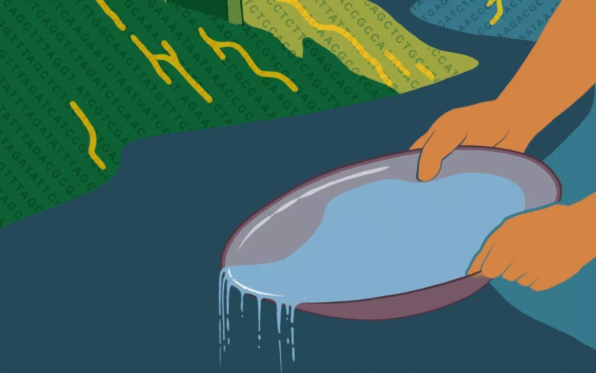 Abstract illustration featuring hands "panning" in a river of DNA, akin to how scientists panned the coding & noncoding genome of neural stem cells in this study