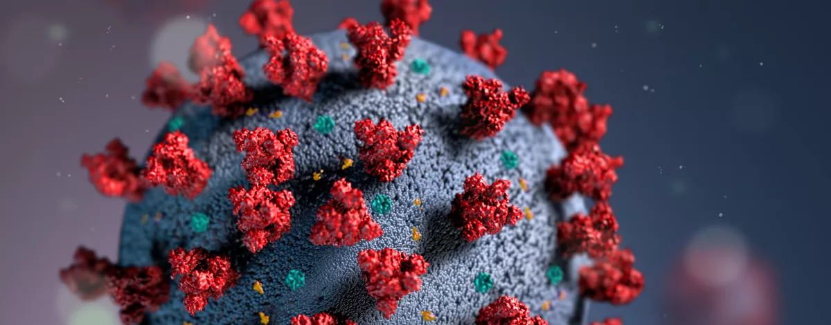 illustration of novel coronavirus