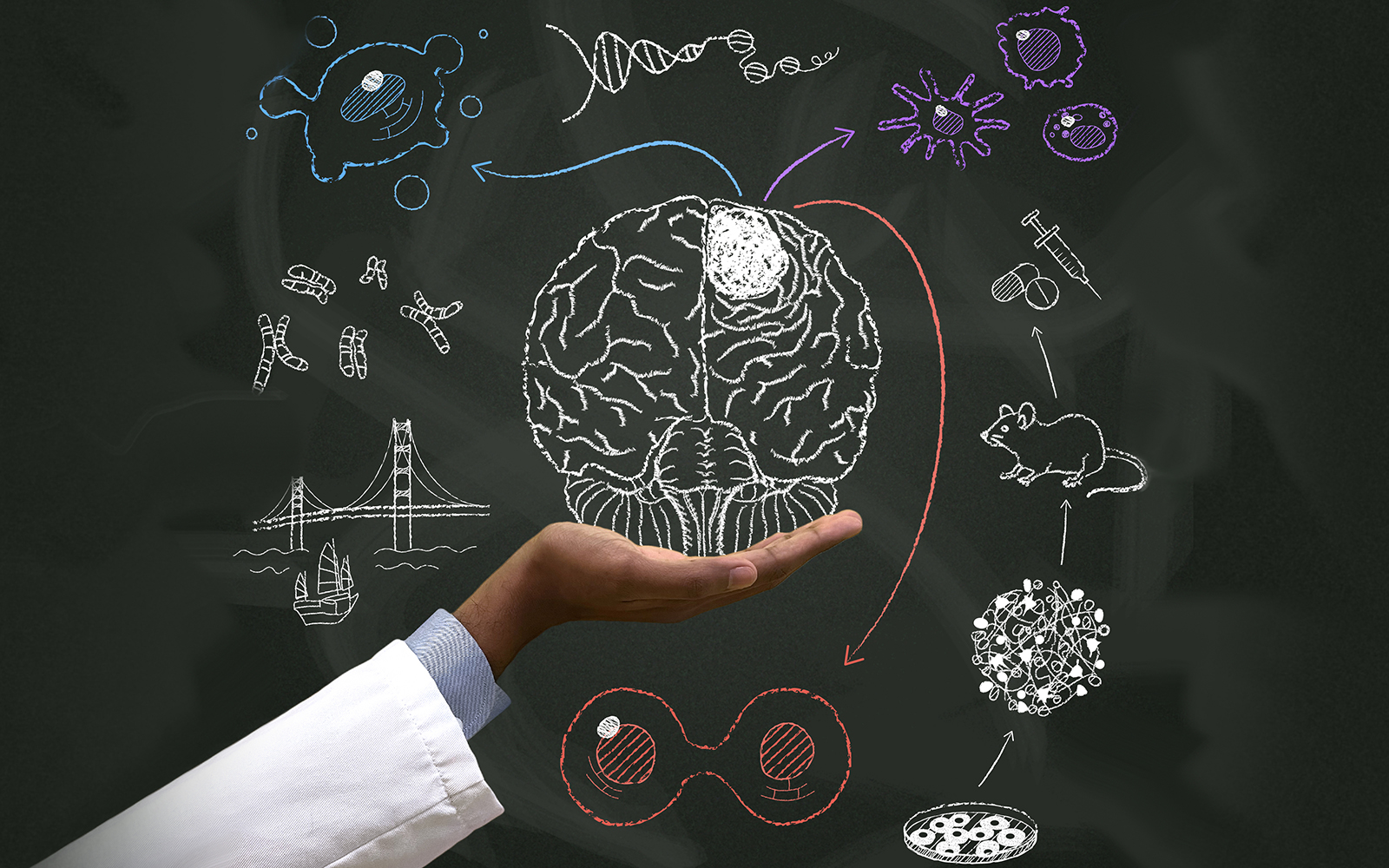 Illustration showing a person holding a drawing of a brain, with  genetic and research imagery surrounding it,