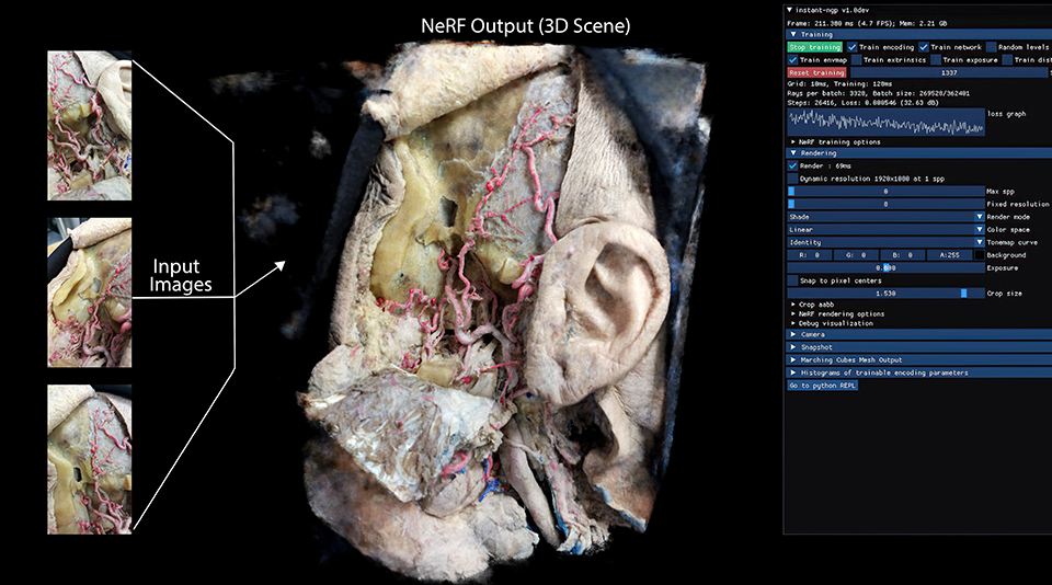 Image of the viewer for AI software instant NERF, showing how the software creates a 3D reconstruction of a cadaveric specimen from 2D input images.