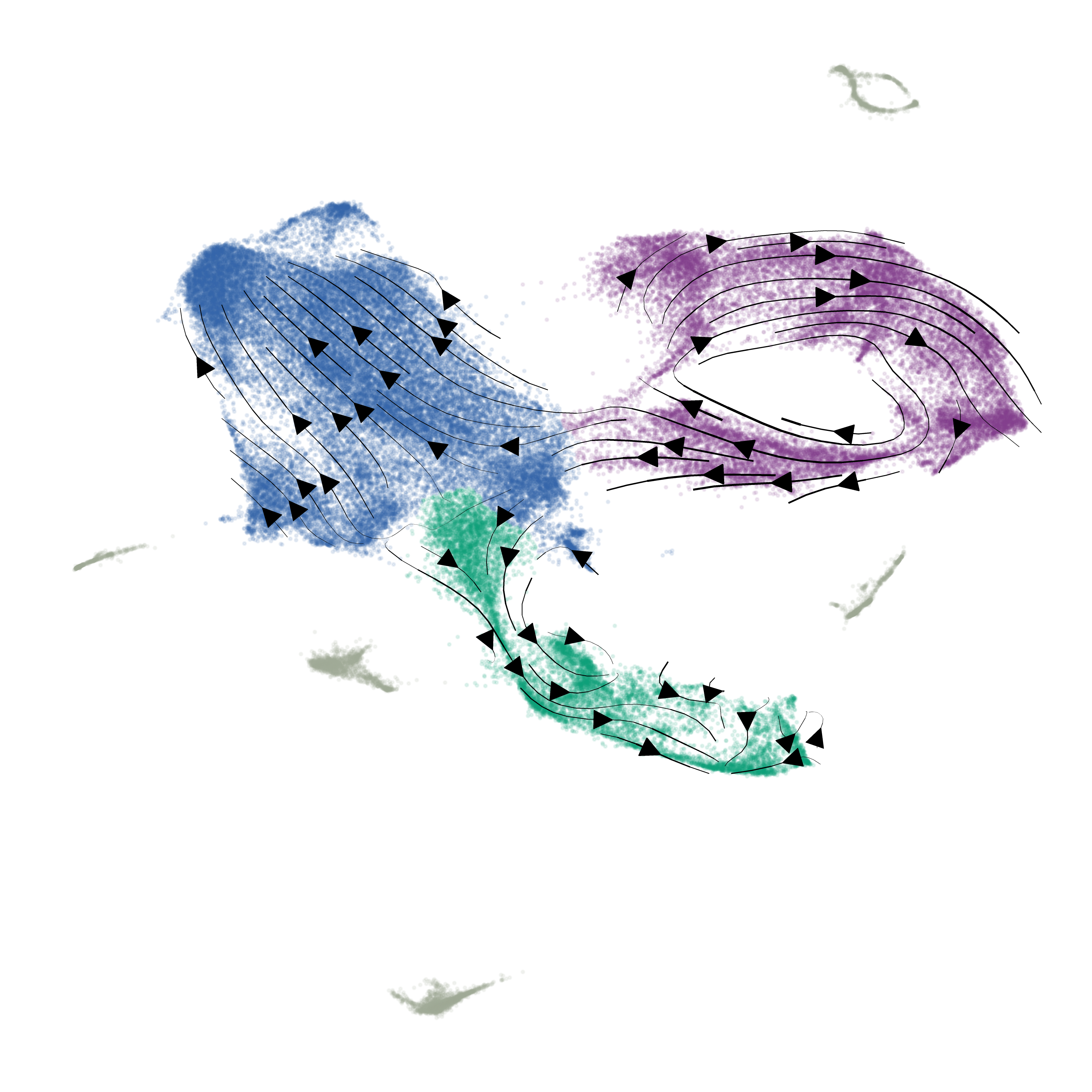 Computational analysis showing three clusters