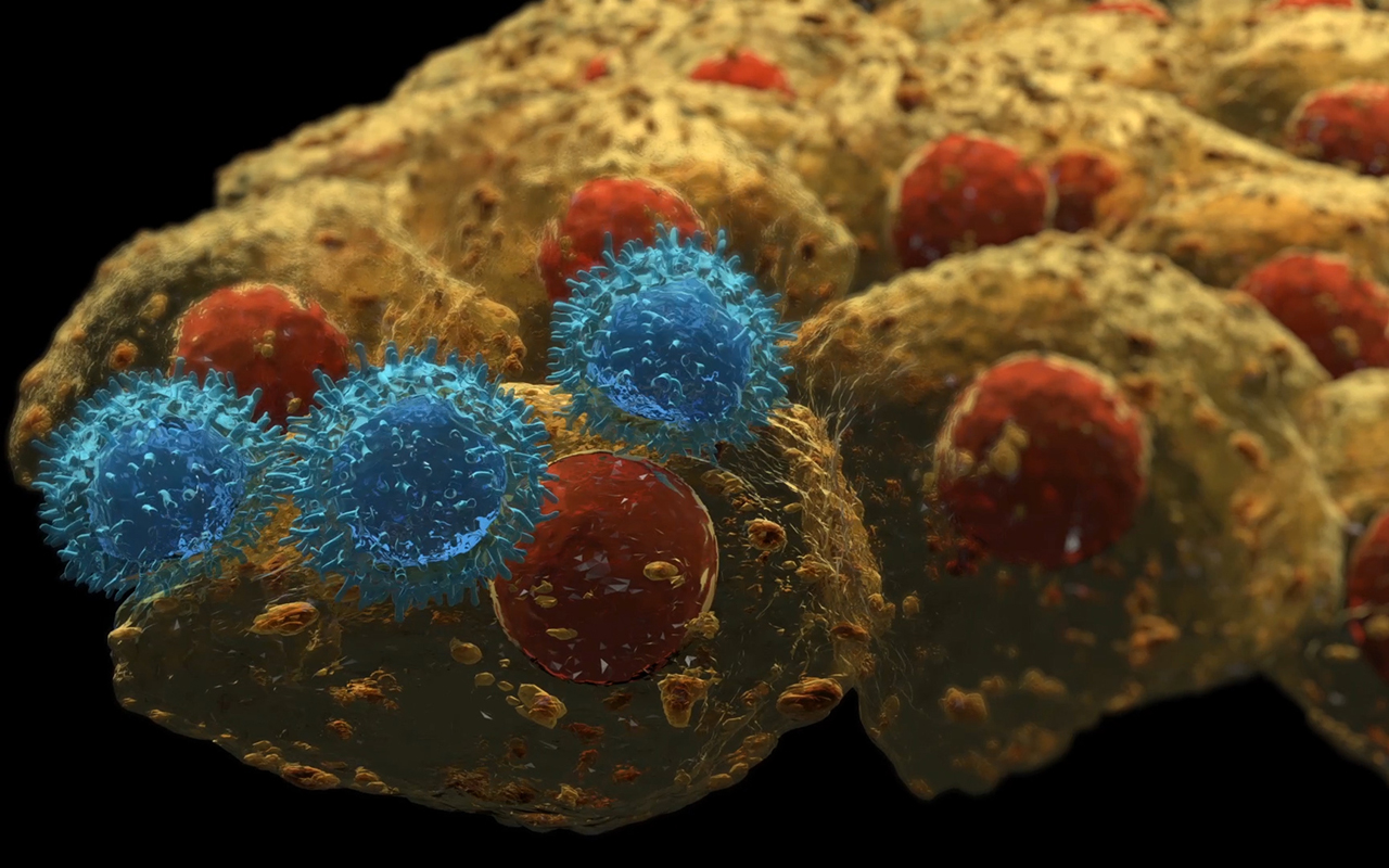 Illustration of a T cell attack a tumor