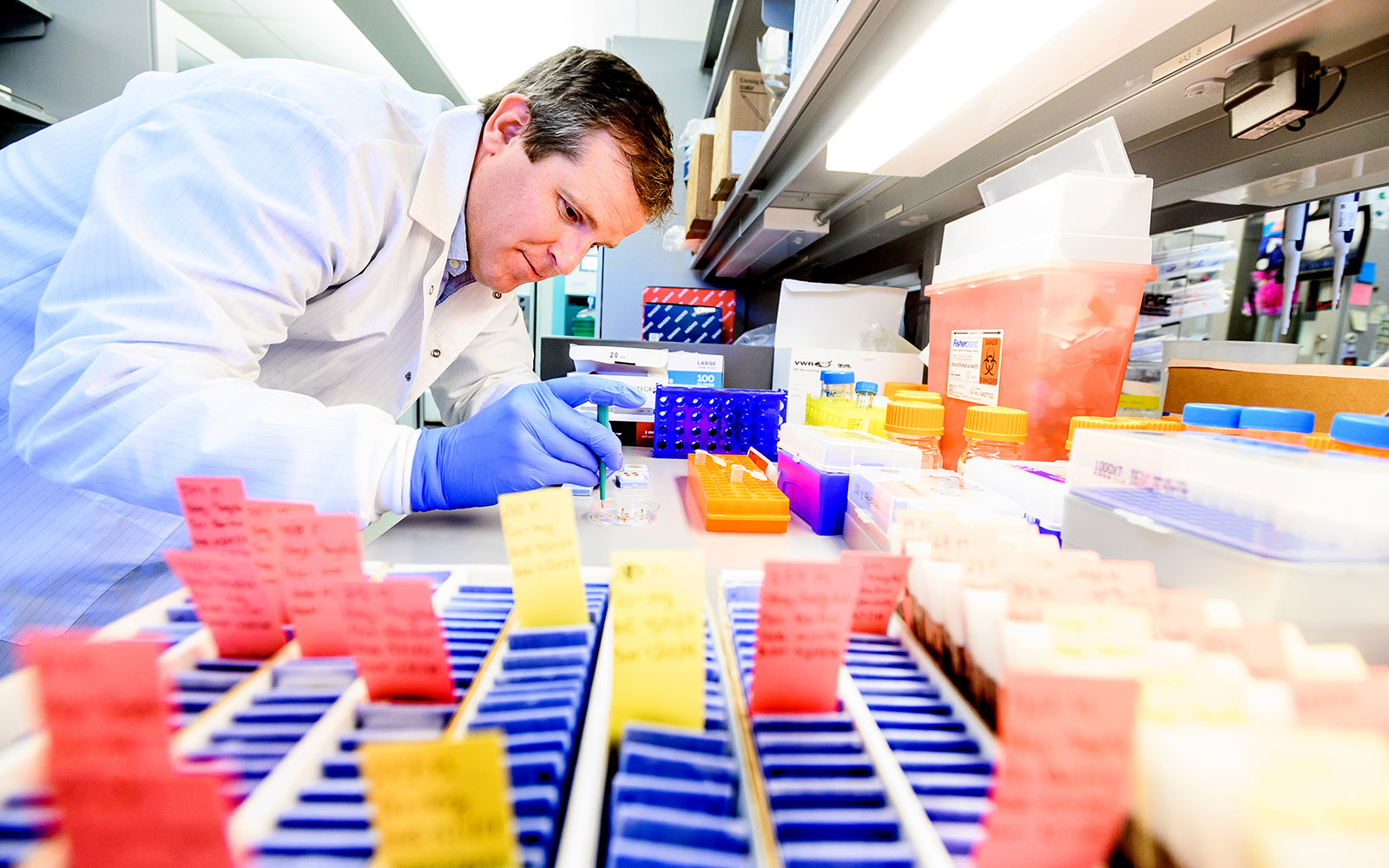 David Solomon, MD, extracts DNA from brain tumor tissue for genomic testing. Image by Noah Berger